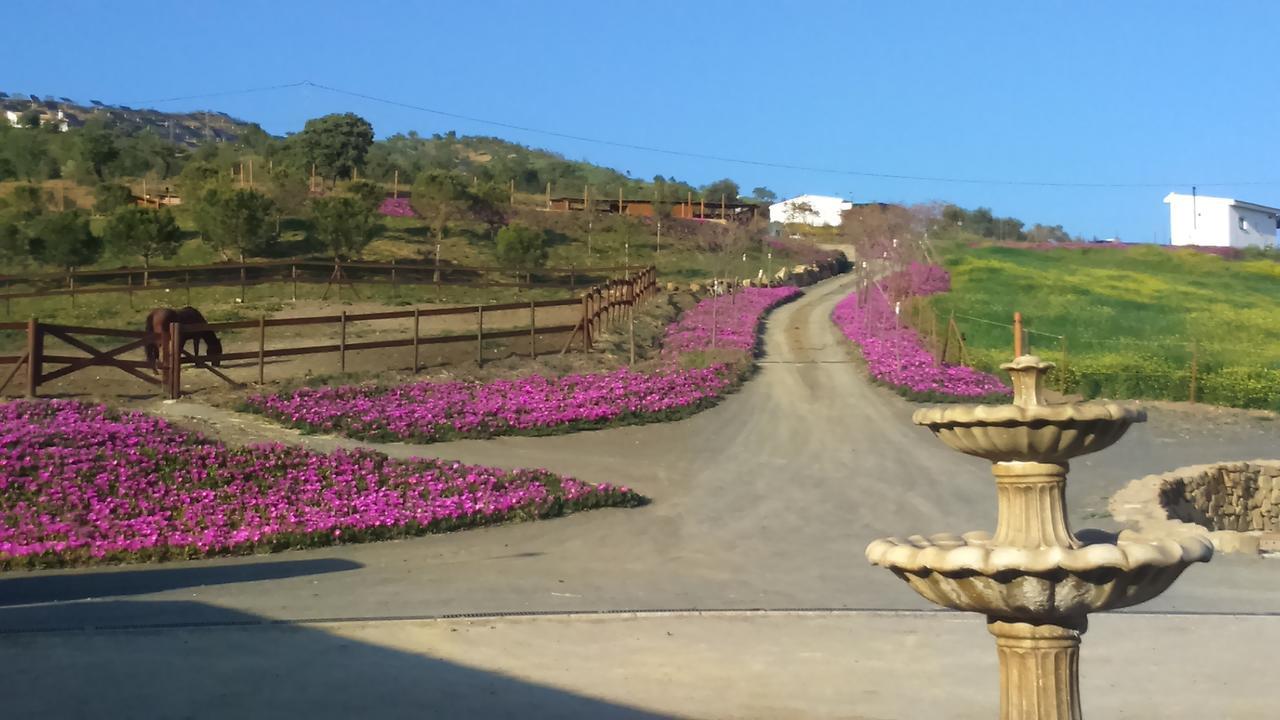 Country house Biznaga