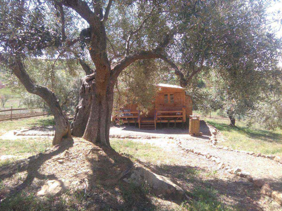 Biznaga Country house *